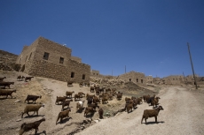 Els vanden Meersch, Gerabiya, from the series Hoşgeldiniz/Xwesh hatin/Welcome, 2010